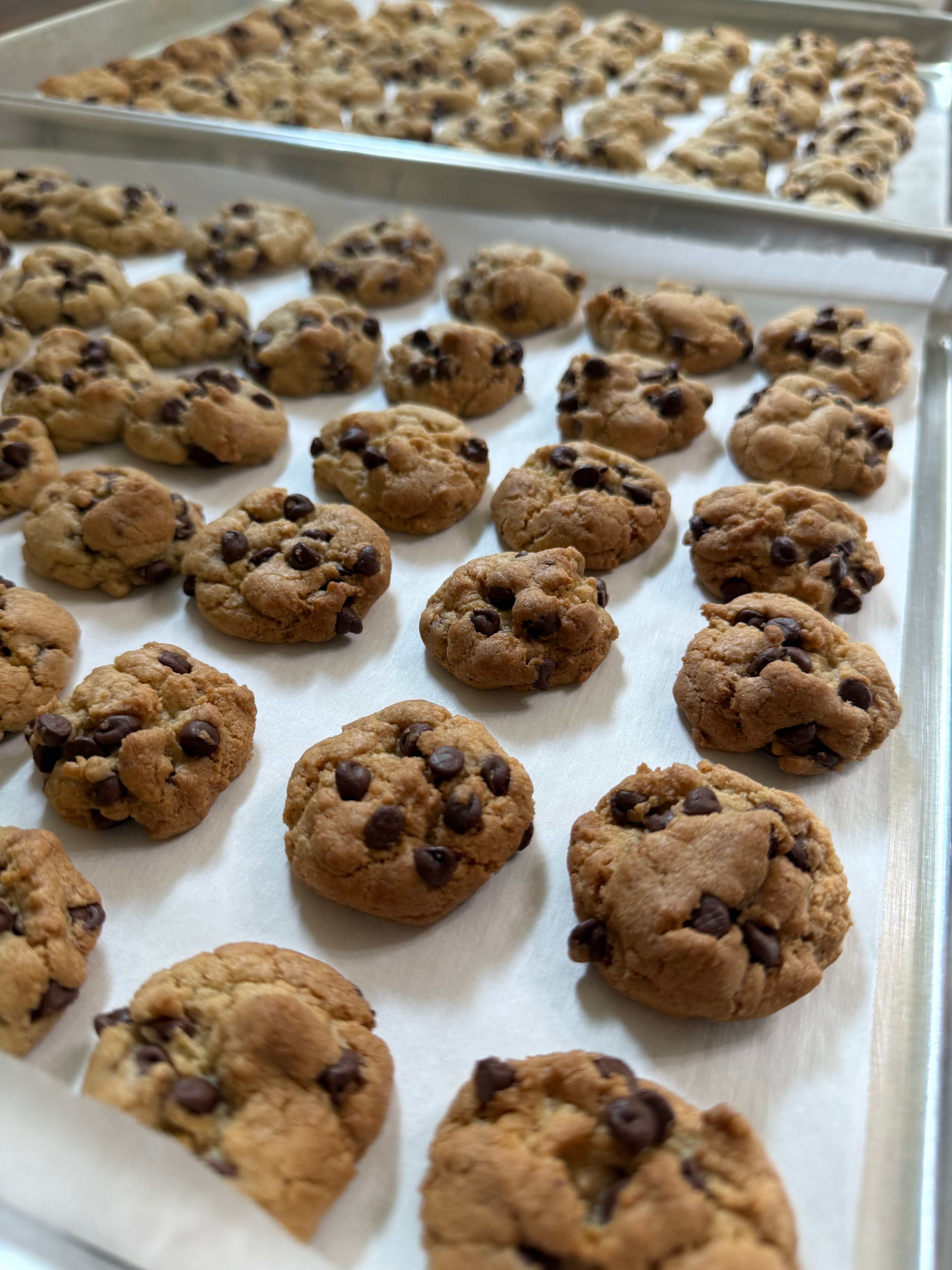 Crunchy Cookie Bites